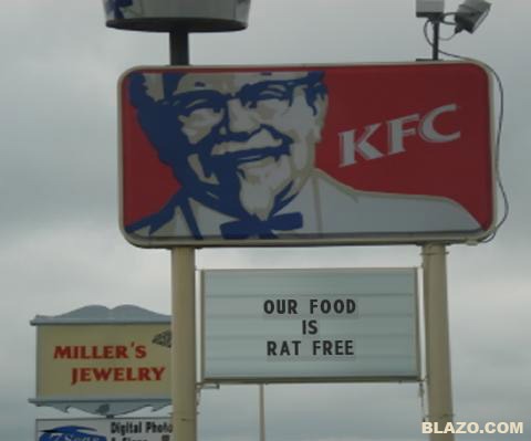 KFC is Rat Free