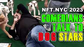 Puppies are funny but Hate Comedians!